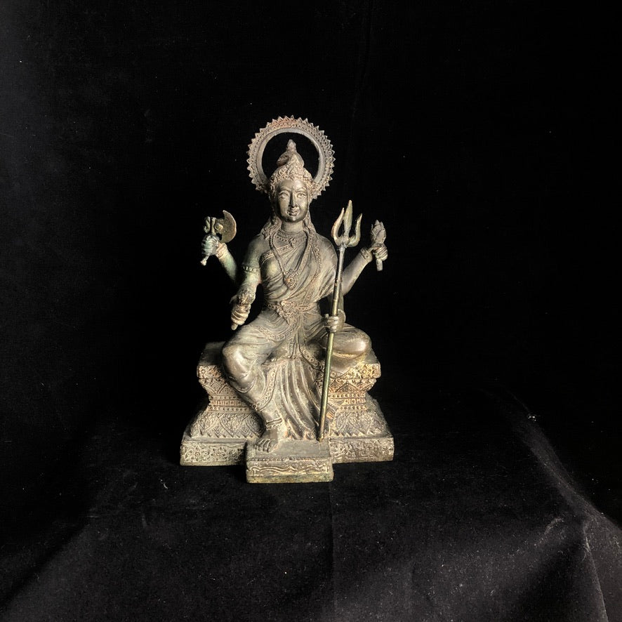 Devi Durga The Protector