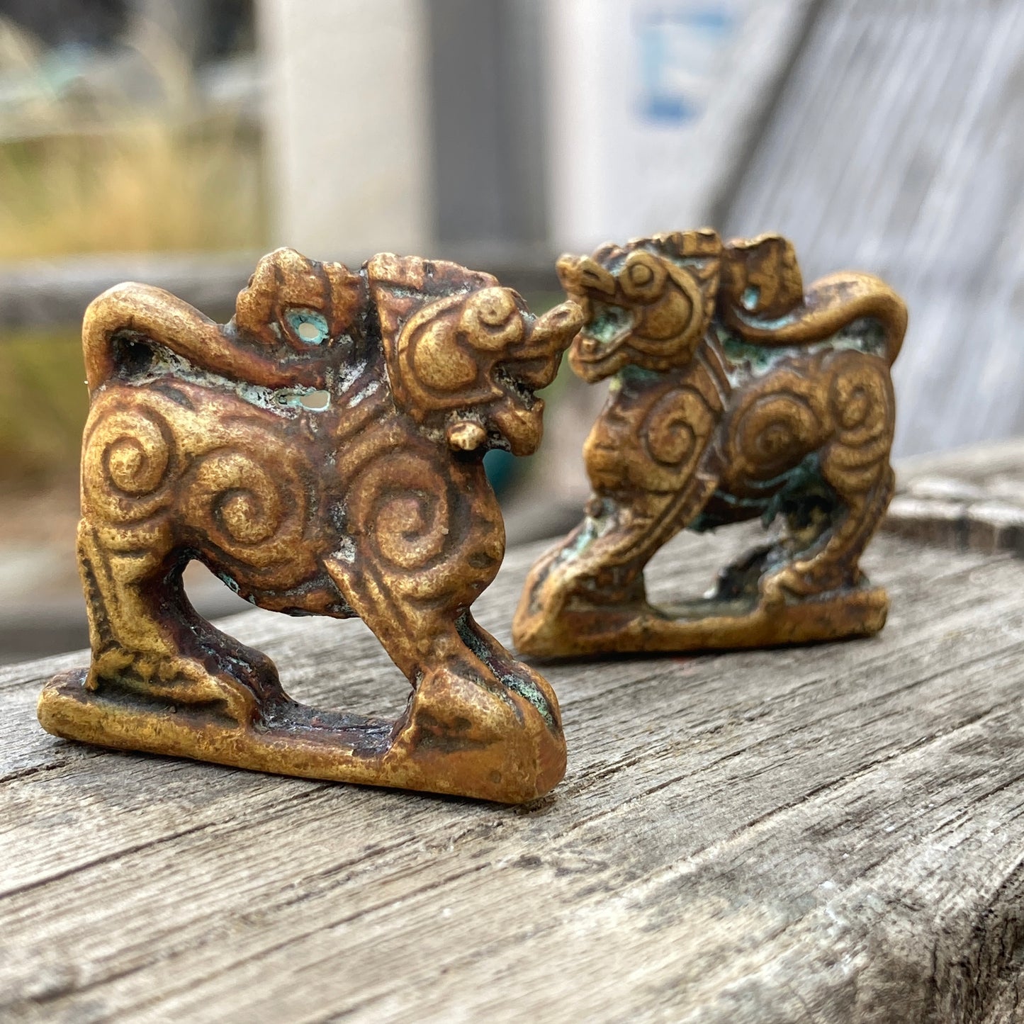 Pair of Tempe Lions