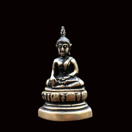Seated Sakyamuni Buddha Statue in Meditating Gesture