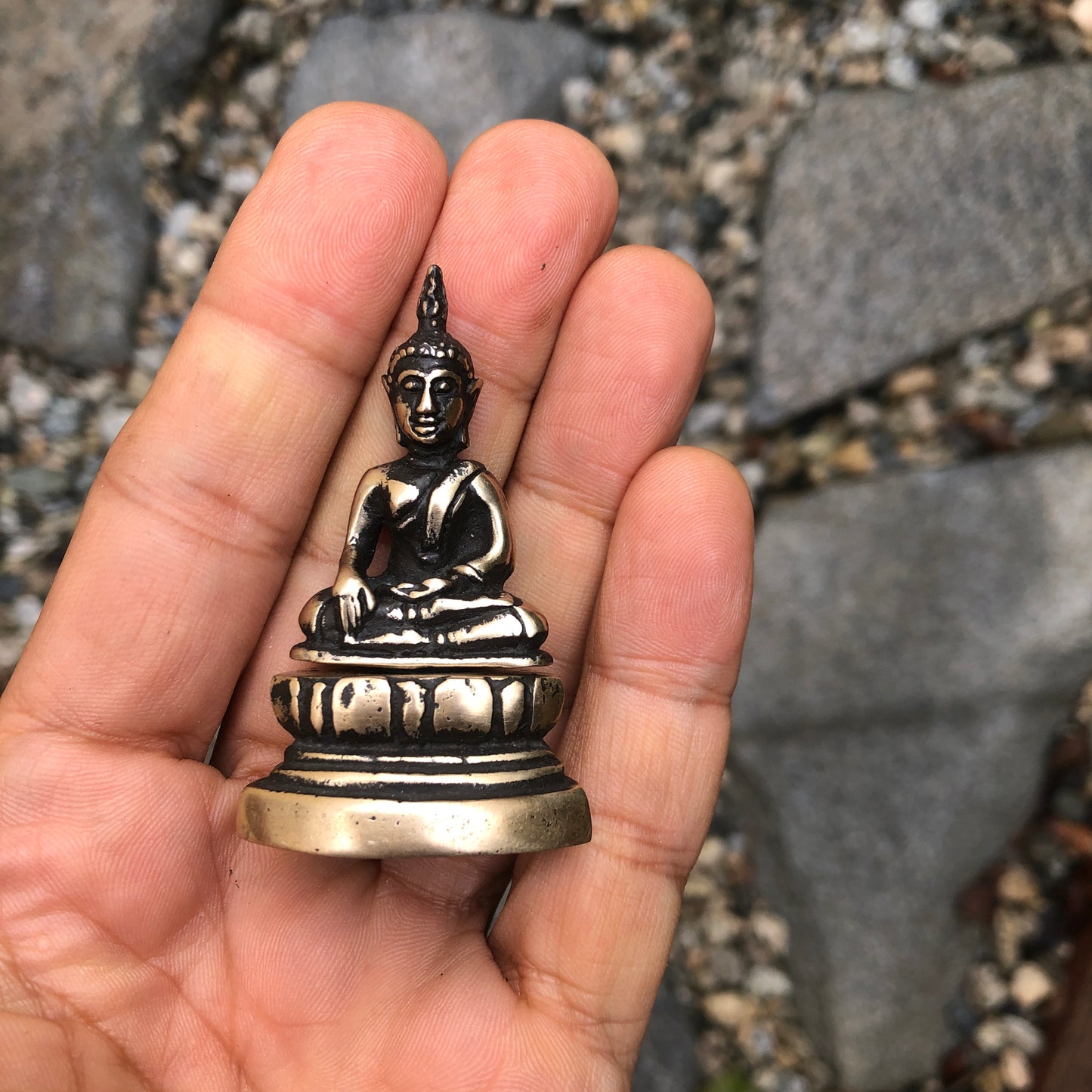 Seated Sakyamuni Buddha Statue in Meditating Gesture