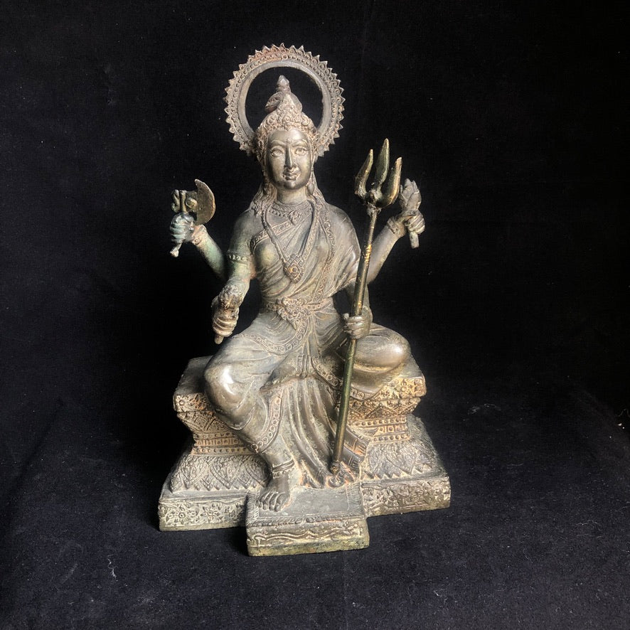 Devi Durga The Protector